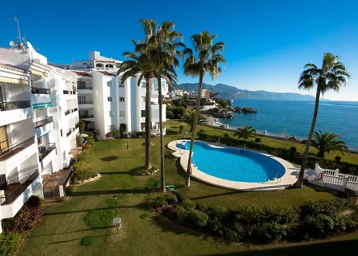 Palmeras 72 Menyber